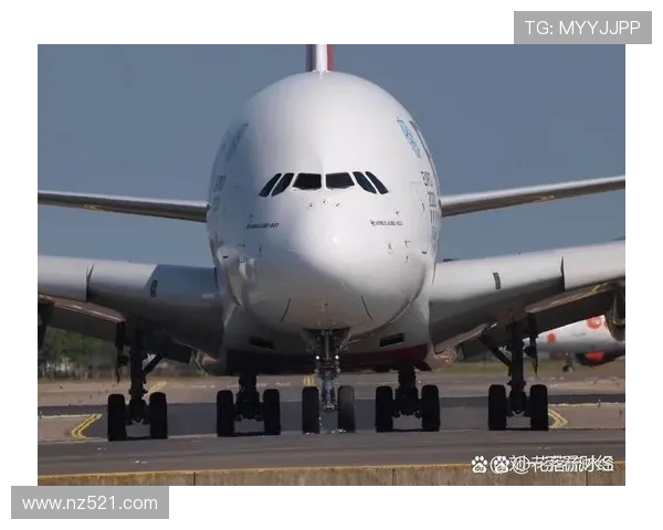 大型客机机翼的柔性变形与载荷缓解