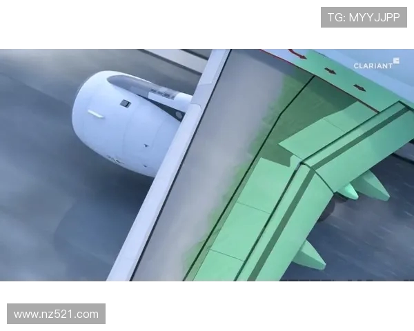 飞机机翼前缘防冰的热均匀