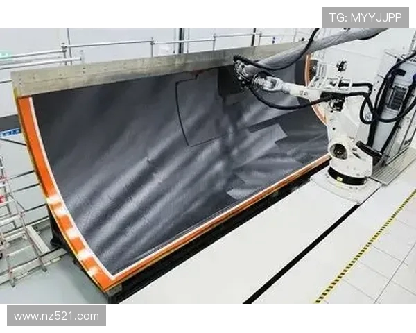 飞机机身结构的复合胶接